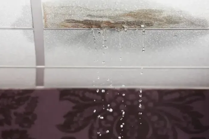 Water drips from a stained section of ceiling drywall
