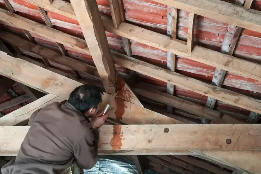 A worker inspects exposed wooden rafters beneath roof tiles inside an attic