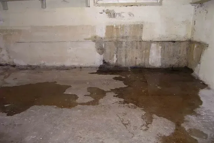 Dirty water pools on a basement floor beside a stained block wall